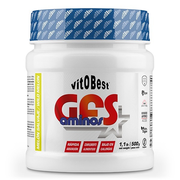 GFS Aminos 500 g