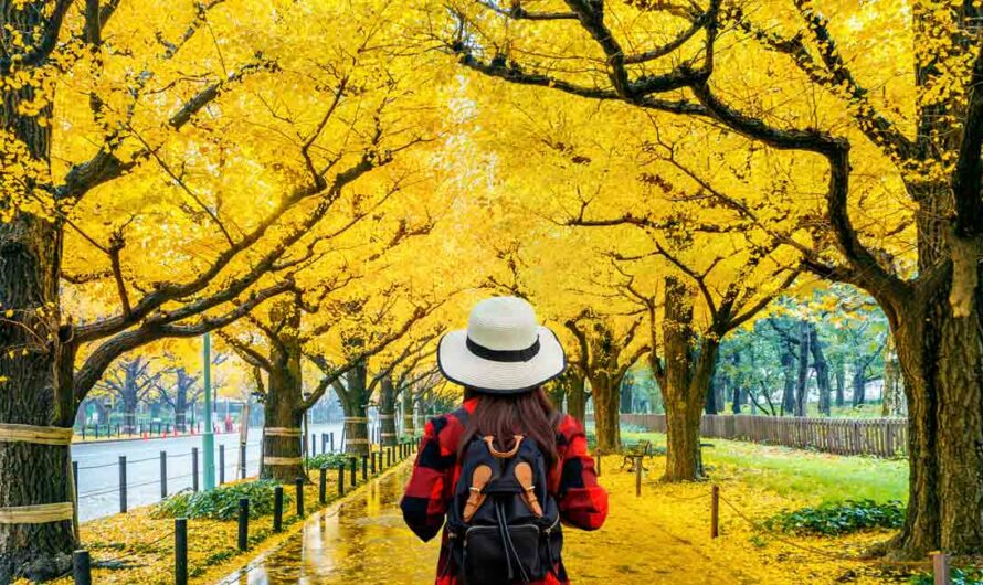 Ginkgo Biloba: Beneficios y propiedades.