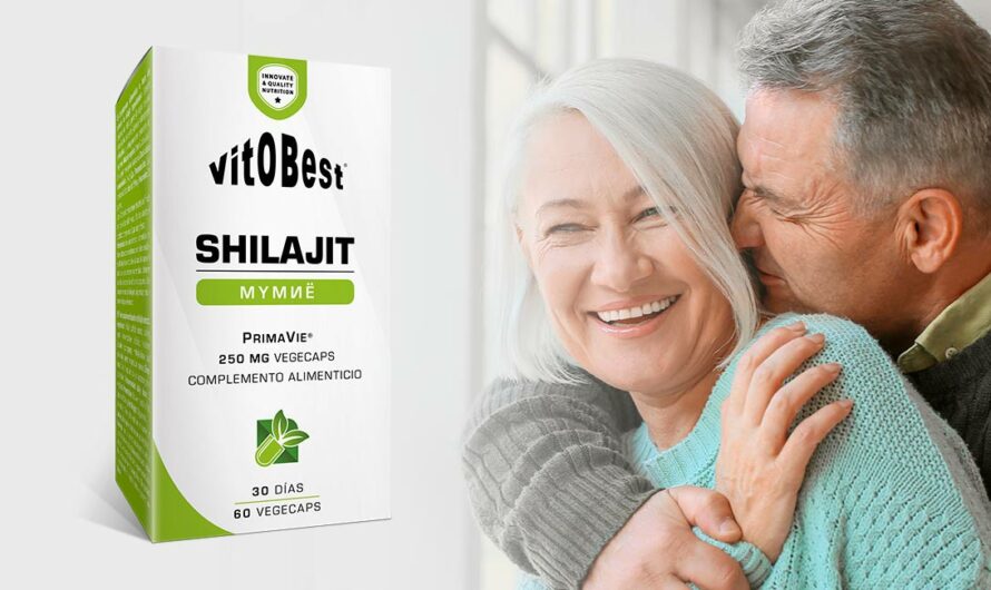 ¿Sabes qué beneficios aporta el Shilajit?