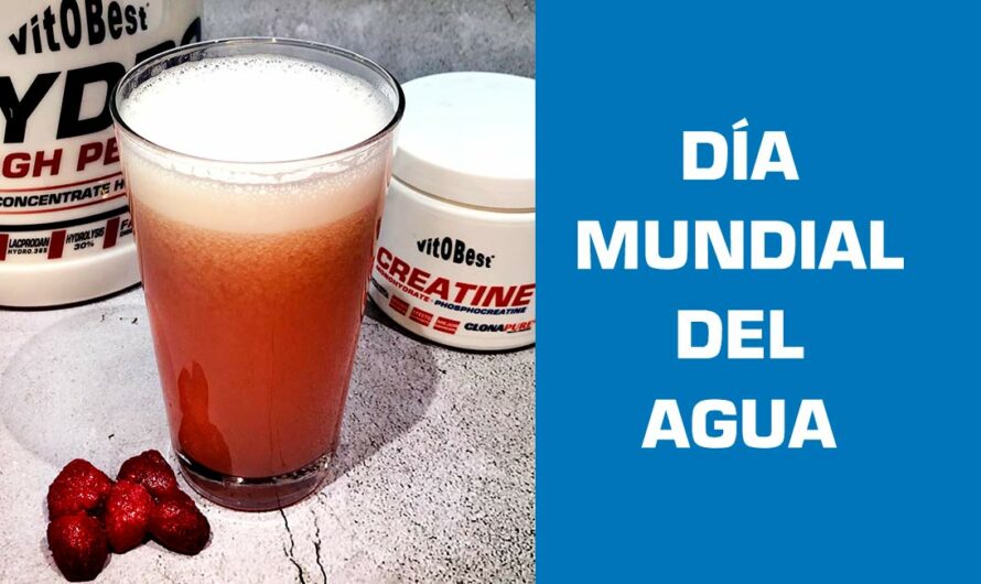 Día Internacional del Agua, prueba nuestro Batido proteico refrescante Vitobest®.