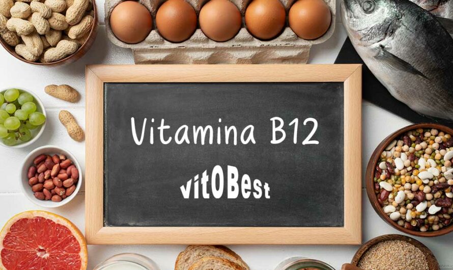 ¿Qué es la Vitamina B12 y para qué sirve?