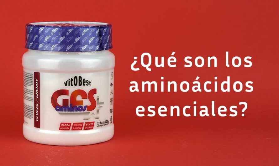 ¿Qué son los aminoácidos esenciales y qué beneficios tienen?