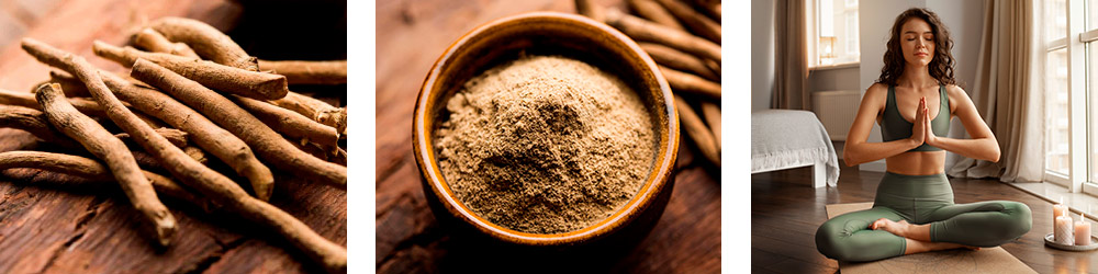 Ashwagandha (AshwaNature Root®) 04